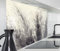 timalo Spritzschutz Wand für Herd, Küche Küchenrückwand Glasoptik | Acryl Glas 2mm | Glasrückwand Acrylglas Wandpaneele Rückwandschutz Platte | 80x60cm Pampasgras