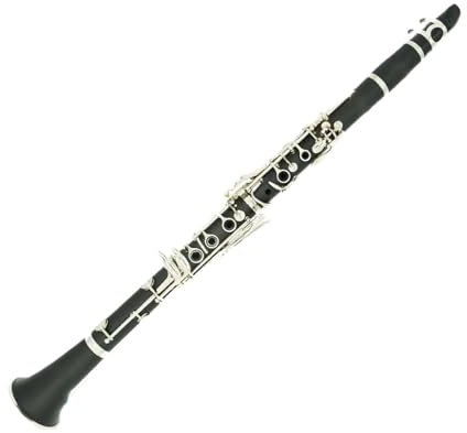 Klarinetten-Set Professionelle B-Klarinette Mit Bakelit-Etui(Clarinet)