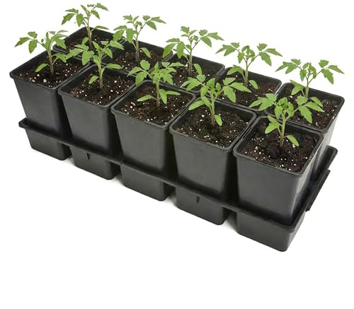 Garronda Anzuchtschale 10 Plätze mit 1,7 L Pflanztöpfen hoch Set Transporttray Kunststoff für Gewächshaus Garten Anzuchtsysteme mechanischen Transport Schwarz GD-0208