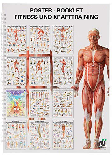 Sport-Tec Mini-Poster Booklet Fitness, 12 Poster, Krafttraining, Wirbelsäulengymnastik
