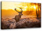 Feeby Bild auf Vlies Leinwand Geweih Hirsch Wiese Reh 45x30 cm Kunstdruck Modern Wandbilder Deko Flur Wohnzimmer Sonnenuntergang Natur Pflanzen Wildes Tier Orange