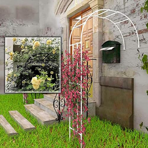 Arche de Jardin en Métal, Tonnelle de Roseraie Haute de 7,8 Pieds, Tonnelle de Pergola en Demi-Arche pour Plantes Grimpantes, Roses, Vignes, Jardin Extérieur, Pelouse, Patio d'arrière-Cour (