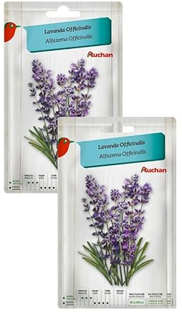 Semillas de Lavanda Officinalis para Plantar, 2 Sobres | Precioso jardin donde tu quieras