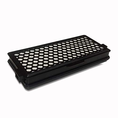 HEPA Kohlefilter für viele Miele C1 C2 C3 S4 S5 Cat&Dog u.a. wie SF-AAC50 (809)