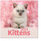 Grupo Erik Wandkalender 2023, Cats Simon K. & Greg C. Wandkalender, Katzen Kalender zum Aufhängen, Kalender 2023 Wandkalender, Familienkalender 2023, offizielle Lizenz, FSC zertifiziert