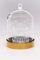 Kleine Glocke (1 Packung)