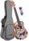 Tenor Ukulele Art Series Urban