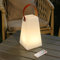 Lampada da Tavolo senza fili 8 colori dimmerabile luce bianca calda RGB LED Impermeabile IP54 per giardino, Hotel, ristoranti, camera da letto, USB Ricaricabile [Classe di efficienza energetica A+++]