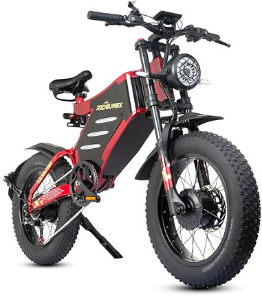 RZOGUWEX Bicicletta elettrica, 20 pollici 160NM Dual Motor Off-Road EBIKE per adulti con batteria agli ioni di litio staccabile da 48 V 30 AH, doppio freno a idraulico