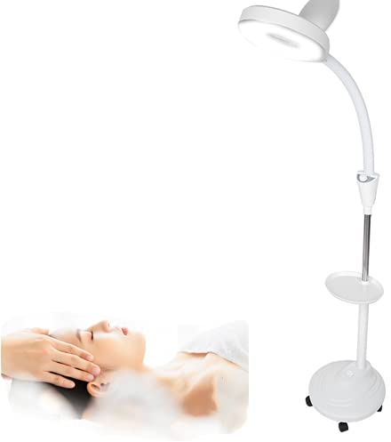 Stehlampen, Lampe mit 8 x Lupe + 5 Rädern Stand Ästhetische Beleuchtung, einstellbare LED Kaltlicht Stehlampe für Beauty Tattoo