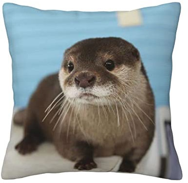 ASEELO Niedliches Otter-Kissen, 45,7 x 45,7 cm, für Wohnzimmer, Schlafzimmer, Sofa, Couch, Outdoor-Kissenbezüge
