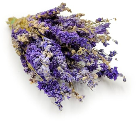 Riddarsporre – (Delphinium) – blå