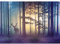 Runa Art Fototapete Wald Hirsch Nebel Modern Vlies Wohnzimmer Schlafzimmer - Made in Germany - 308 x 220 cm Gelb Blau 9338010a