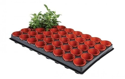 Garland Professional Seed Cutting Tray - 40 x 6cm Pots
