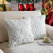 TOYPOPOR 50CM x 50CM 2er Set Weihnachten Kissenbezüge Wolle Kissenbezüge Weicher Plüsch Kurzer Wollsamt Dekokissenbezuge Luxuriöses Sofakissen Europäische Kissenhülle für Sofa Schlafzimmer