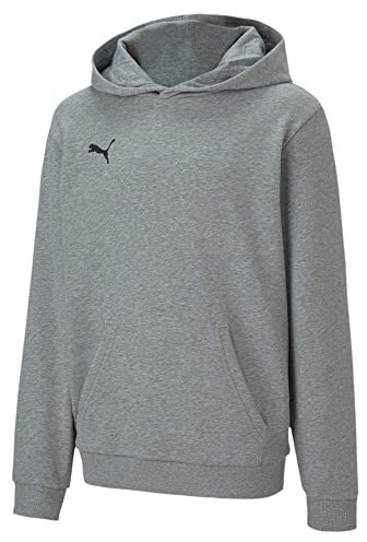 PUMA Unisex Kinder, teamGOAL 23 Casuals Hoody Jr Hoodie, Medium Gray Heather, 128