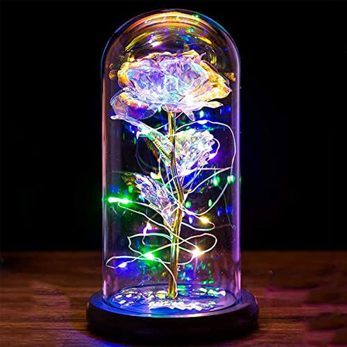 Geschenke für Frauen Die Schöne und das Biest Rose Muttertagsgeschenke für Mama Ewige Rose im Glas mit Licht in Glaskuppel Geschenke für Mama Oma Geburtstagsgeschenk für Frauen Jahrestag Galaxy Rose