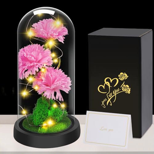 Touloube Regalo per la Festa Della Mamma Fiori di Garofano per Donna, Fiore di Garofano in Cupola di Vetro, Regalo Anniversario, Compleanno,Guarigione, Fiore Artificiale Regalo per Donne Mamma Moglie