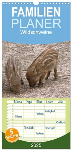 Familienplaner 2025 - Wildschweine mit 5 Spalten (Wandkalender, 21 cm x 45 cm), CALVENDO
