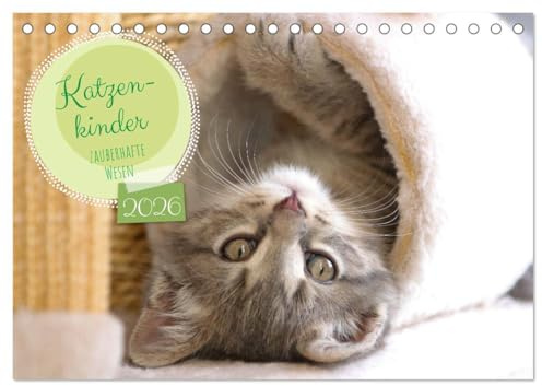 Katzenkinder - zauberhafte Wesen (Tischkalender 2026 DIN A5 quer), CALVENDO Monatskalender: Sie schnurren sich in unsere Herzen, verzaubern uns und ... kleine Katzenkinder. (CALVENDO Tiere)