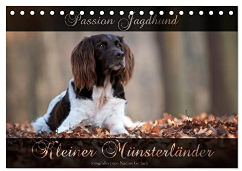 Passion Jagdhund - Kleiner Münsterländer (Tischkalender 2026 DIN A5 quer), CALVENDO Monatskalender: Kleiner Münsterländer Vorstehhund - Ein Leben neben der Jagd (CALVENDO Tiere)
