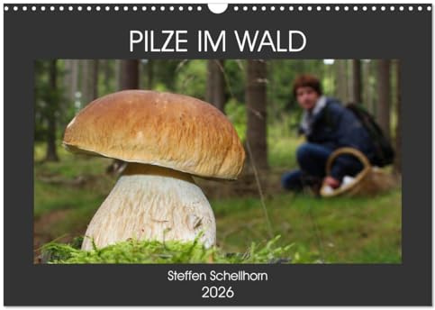 PILZE IM WALD (Wandkalender 2026 DIN A3 quer), CALVENDO Monatskalender: Die schönsten Pilze aus den heimischen Wäldern (CALVENDO Orte)