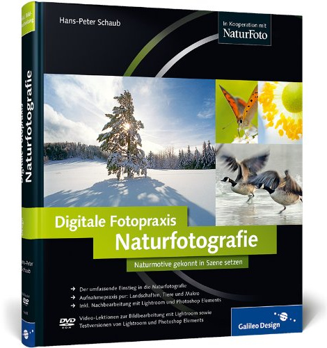 Digitale Fotopraxis: Naturfotografie: Naturmotive gekonnt in Szene setzen (Galileo Design)