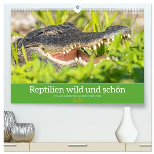 Reptilien wild und schön (hochwertiger Premium Wandkalender 2026 DIN A2 quer), Kunstdruck in Hochglanz: Außergewöhnliche Naturfotografien freilebender Reptilien aus drei Kontinenten. (CALVENDO Tiere)