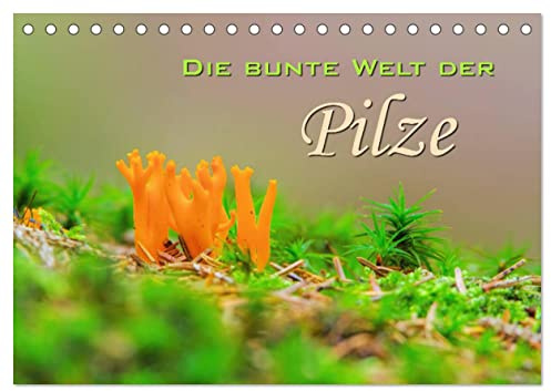 Die bunte Welt der Pilze (Tischkalender 2026 DIN A5 quer), CALVENDO Monatskalender: Aufnahmen von Waldpilzen (CALVENDO Natur)