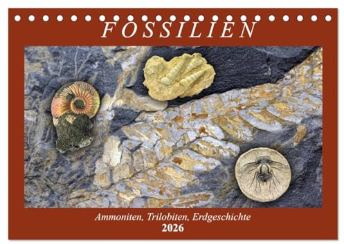 Fossilien - Ammoniten, Trilobiten, Erdgeschichte (Tischkalender 2026 DIN A5 quer), CALVENDO Monatskalender: Versteinerte Tiere und Pflanzen (CALVENDO Wissenschaft)