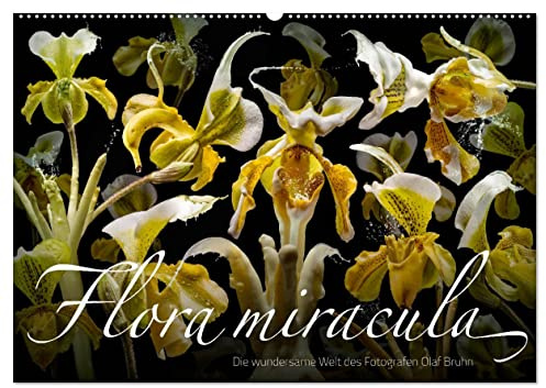 Flora miracula - Die wundersame Welt des Fotografen Olaf Bruhn (Wandkalender 2026 DIN A2 quer), CALVENDO Monatskalender: Einer der wohl ... Grafik-Designer Olaf Bruhn (CALVENDO Kunst)