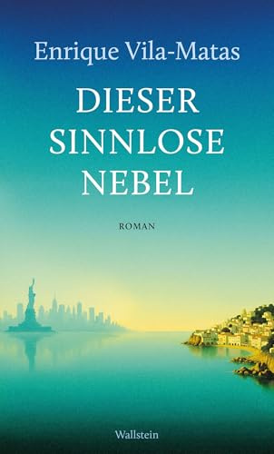 Dieser sinnlose Nebel: Roman