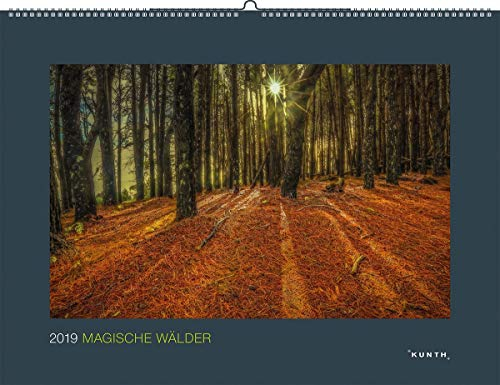 Magische Wälder 2021: Wandkalender (KUNTH Wandkalender Black Edition)