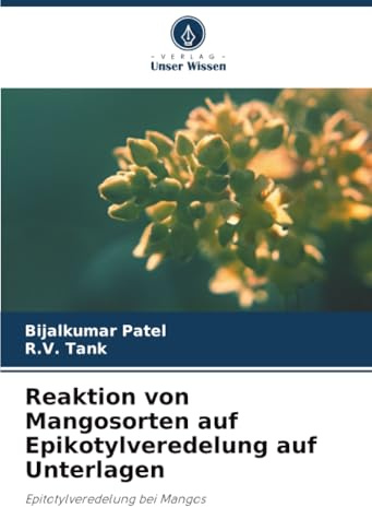 Reaktion von Mangosorten auf Epikotylveredelung auf Unterlagen: Epitotylveredelung bei Mangos