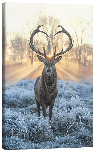 Posterlounge Hirsch mit Herzgeweih Leinwandbild | 20 x 30 cm von Max Ellis Wandbilder Wanddeko