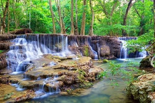 SDOTPMT 10x7ft Forêt Cascade Polyester Fond forêt Tropicale forêt Tropicale Paysage Rural Photographie Fond Enfants fête d'anniversaire véritable Jungle Fond décor Adulte Portrait Photo Studio Prop