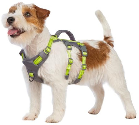 Huntboo Sicherheitsgeschirr Hund Ausbruchsicher, Panikgeschirr für Hunde, Reflektierendes Geschirr Hund mit Griff, Verstellbare Hundegeschirr für kleine, mittelgroße und große Hunde (Hellgrün,XS)