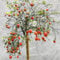 semi di limone piante resistenti all'inverno per balconi semi di limone frutto fresco piante resistenti in vaso alberi da frutto nani pianta da balcone vero albero di limone piante da 50pcs