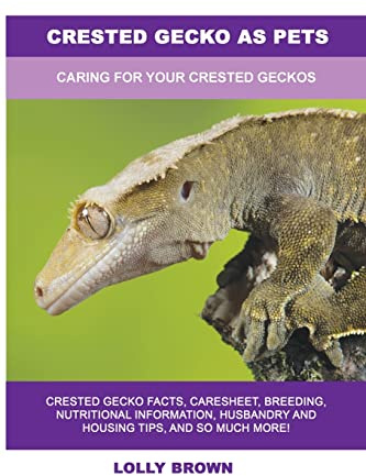 Crested Gecko as Pets: Caring For Your Crested Geckos