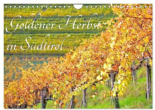 Goldener Herbst in Südtirol (Wandkalender 2026 DIN A4 quer), CALVENDO Monatskalender: Herbstliche Impressionen aus Südtirol. (CALVENDO Orte)