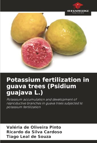 Potassium fertilization in guava trees (Psidium guajava L.): Potassium accumulation and development of reproductive branches in guava trees subjected to potassium fertilization