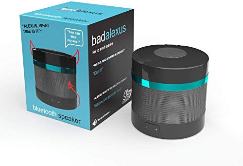 Boxer Gifts Bad Assistant Novelty Prank Gift | Voice Activated With Funny Responses | Fully Functioning Bluetooth Speaker To Play Music