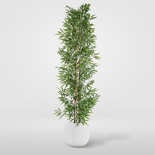 BLAINE | Bambú Oriental 100cm |Plantas Artificiales Decorativas|Planta Artificial Grande|Plantas Artificiales para Interior/Exterior | Planta Artificial Realista Decorativa para Casa |Sin Cuidados