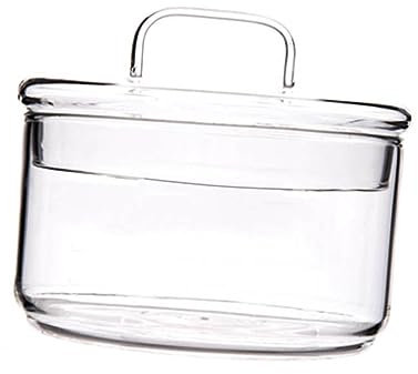 BEBEMOKO Ciotola Trasparente per Insalate Dessert e Servire Frutta e Verdura con Coperchio