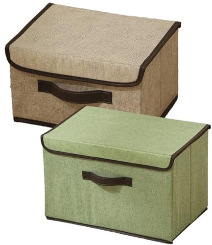 Aufbewahrungsbox mit Deckel, Storage Boxes mit Griffen, Boxen Aufbewahrung 2er Set, 27 x 20 x 16 cm, Organizer Box, Kisten Aufbewahrung mit Deckel, Ordnungsboxen für Schrank, Kleidung (Mischfarbe)