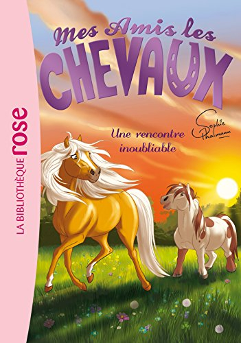 Mes amis les chevaux, tome 6 : Une rencontre inoubliable