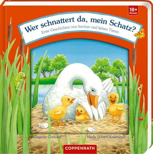 Wer schnattert da, mein Schatz?: Erste Geschichten von frechen und lieben Tieren (Meine ersten Lieblingsgeschichten)