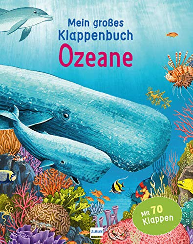 Klappenbuch - Ozeane: mit 70 Klappen und spannenden Sachinformationen