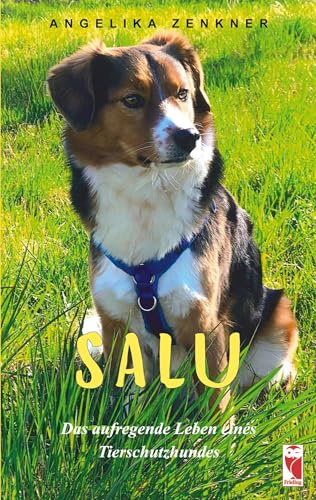 Salu: Das aufregende Leben eines Tierschutzhundes (Frieling - Kinderbuch)