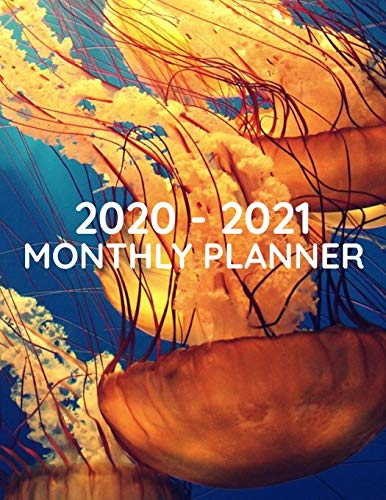 2020 - 2021 Monthly Planner: 24 Month Agenda Planner | Two Year Calendar Planner | January 2020 to December 2021 Monthly Calendar Planner, 8.5 x 11 Size (Marine Life, Jellyfish)